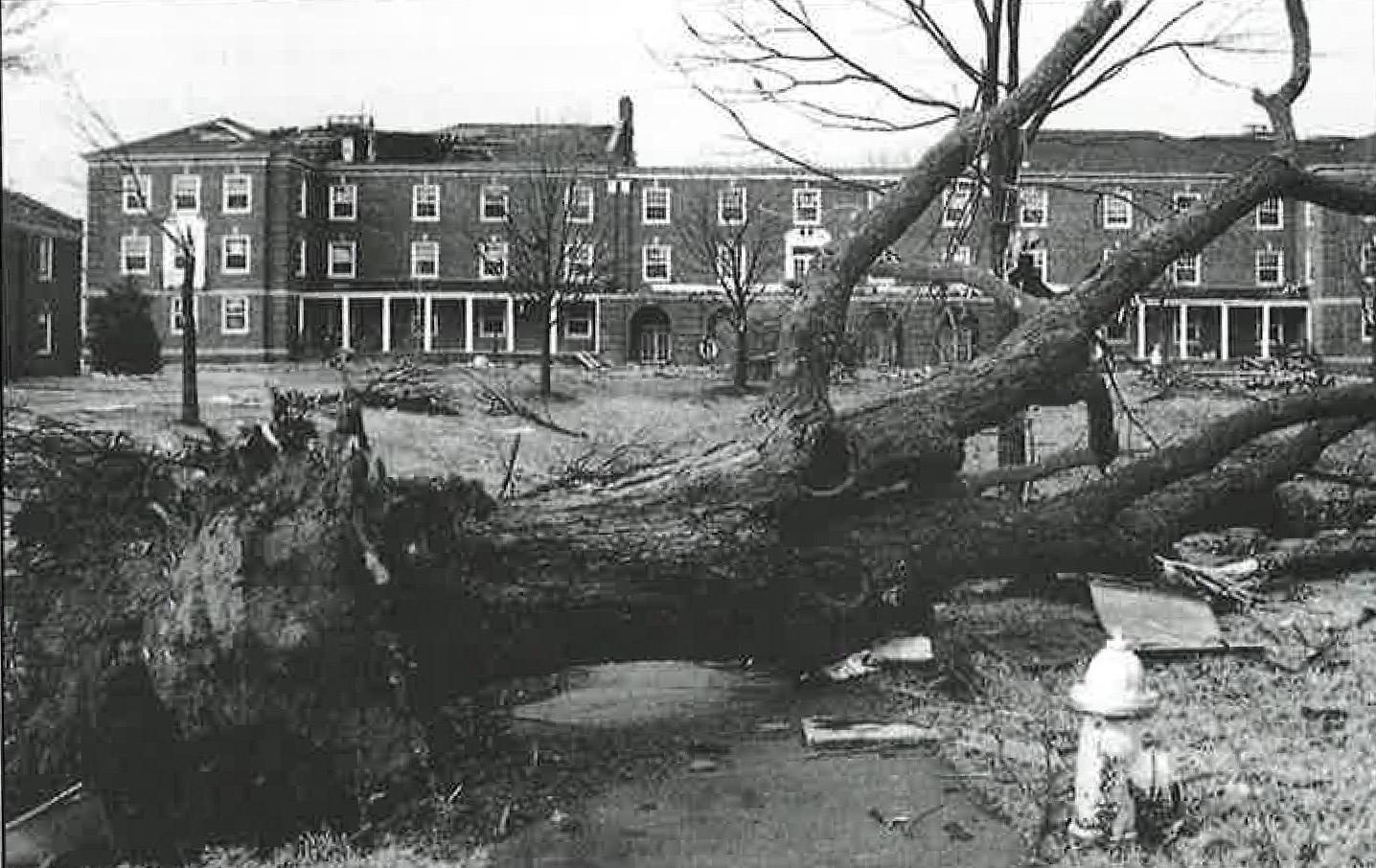 The Browning, Clement, Harned, pictured, 哈维尔和阿奇伍德建筑在1月11日的一次地震中严重受损. 1999年22日，龙卷风袭击了克拉克斯维尔.